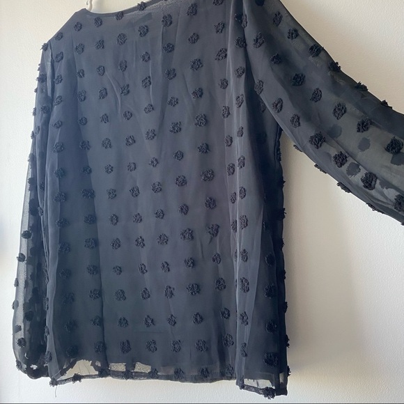 Sheer Black Polka Dot Top - Picture 4 of 5
